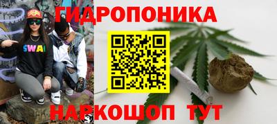 гашик Малгобек