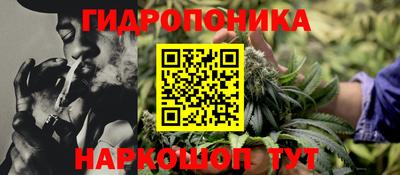 гашик Малгобек